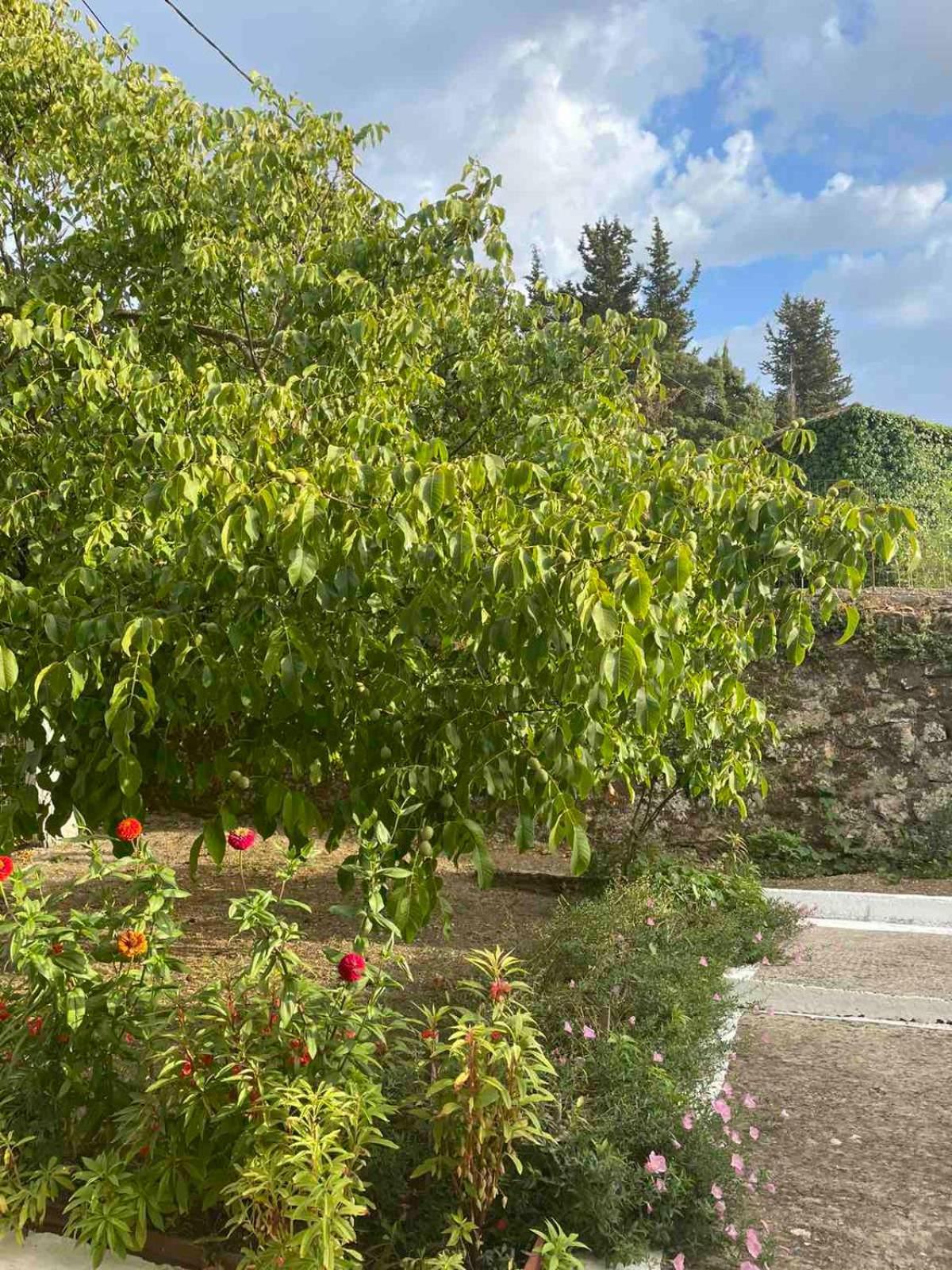 Anesis Villa Asprogerakata Exterior photo